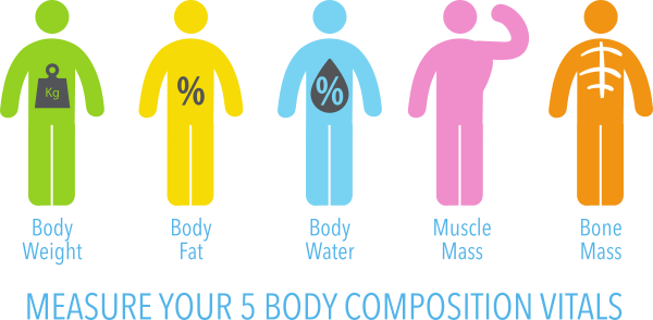 Measure Your 5 Body Composition Vitals