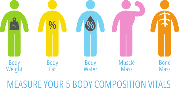 Body Composition Scale with Body Water, Body Fat and Muscle Mass